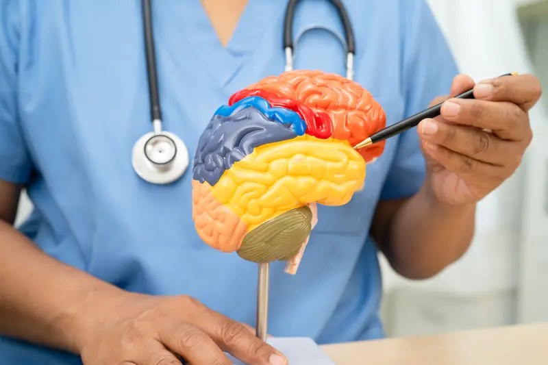 Qué es la neurología
